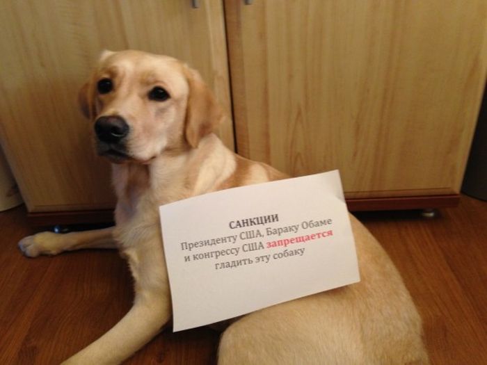 Забавные картинки