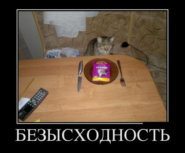Демотиваторы (30 фото)
