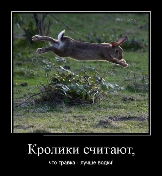 Демотиваторы (30 фото)