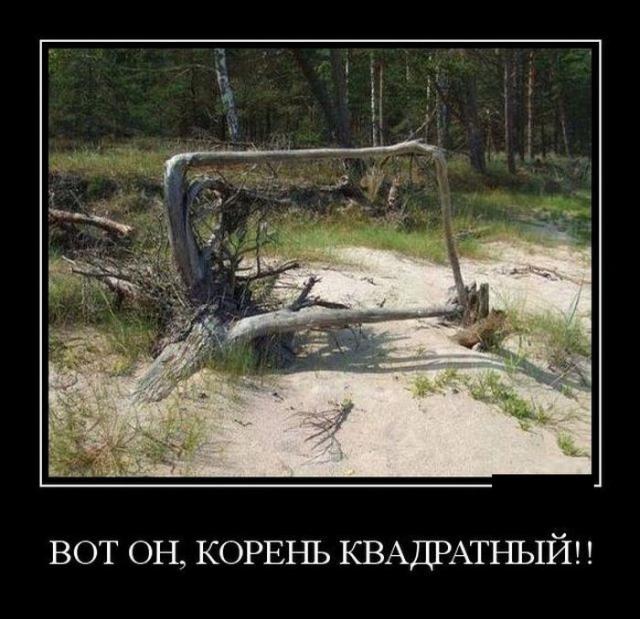 Демотиваторы (30 фото)
