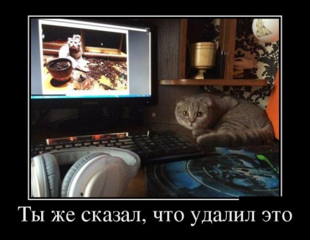 Демотиваторы (30 фото)