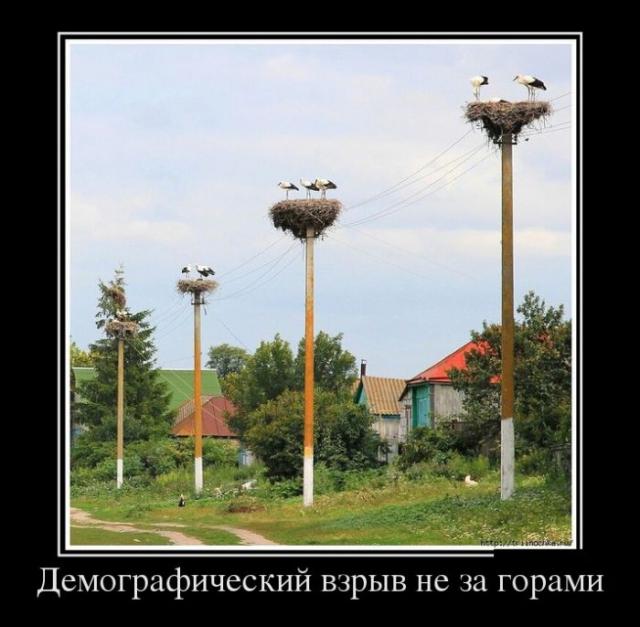 Демотиваторы (30 фото)