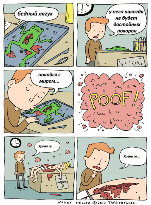Забавные картинки
