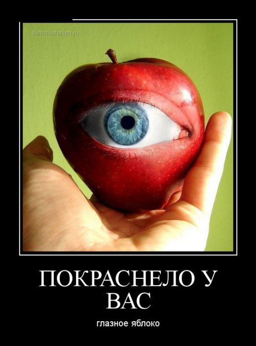 Демотиваторы (30 фото)