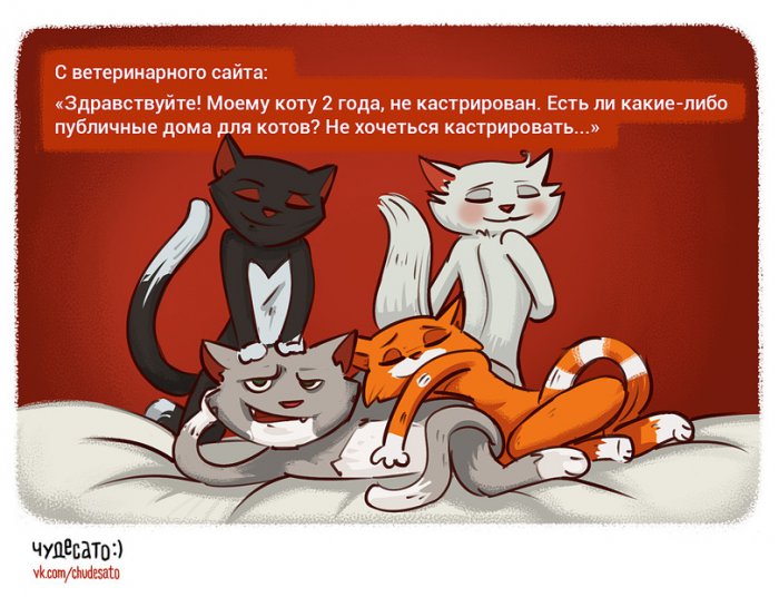 Забавные картинки