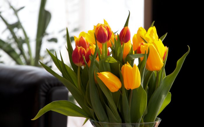 Обои на рабочий стол / Flowers. Wallpaper 5