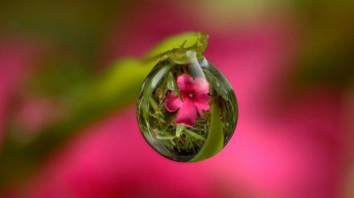 Обои на рабочий стол / Best HD Wallpapers Pack 1146