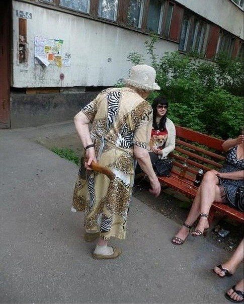 Забавные картинки