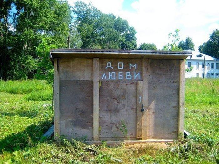 Забавные картинки