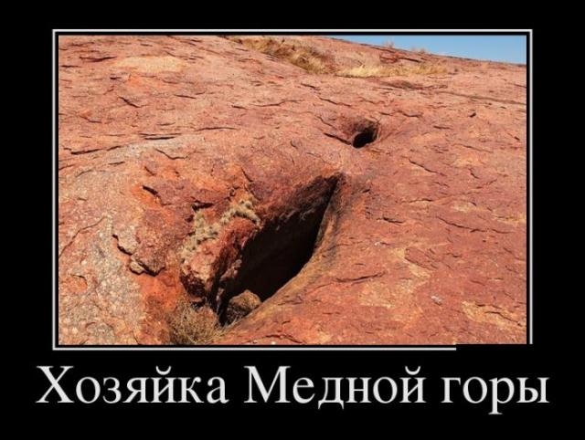 Демотиваторы (30 фото)