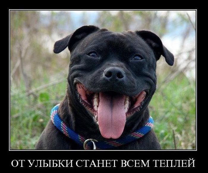 Улыбаки