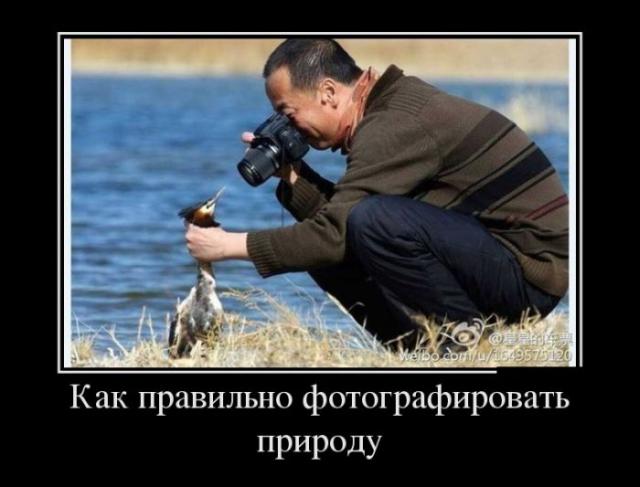 Демотиваторы (30 фото)