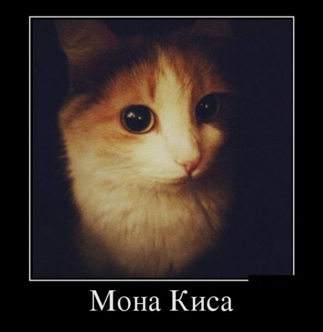 Демотиваторы (30 фото)
