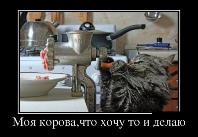Демотиваторы (30 фото)