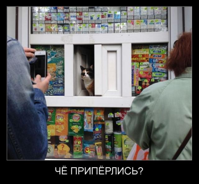 Демотиваторы (30 фото)