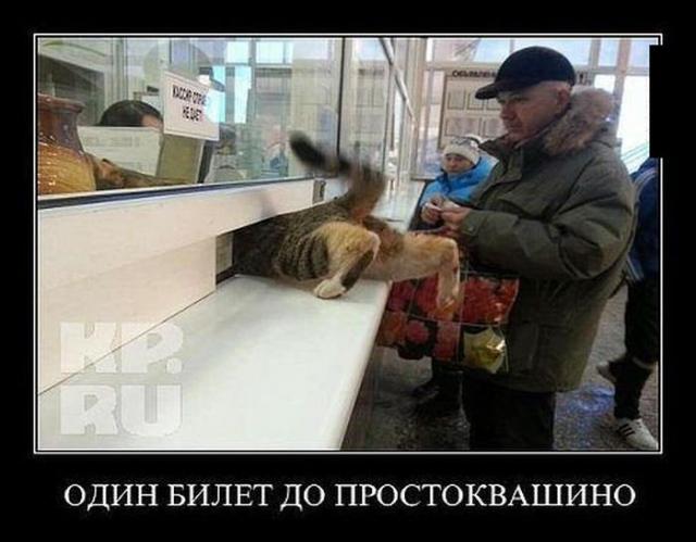 Демотиваторы (30 фото)