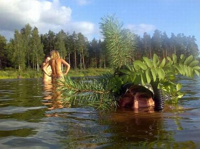Забавные картинки