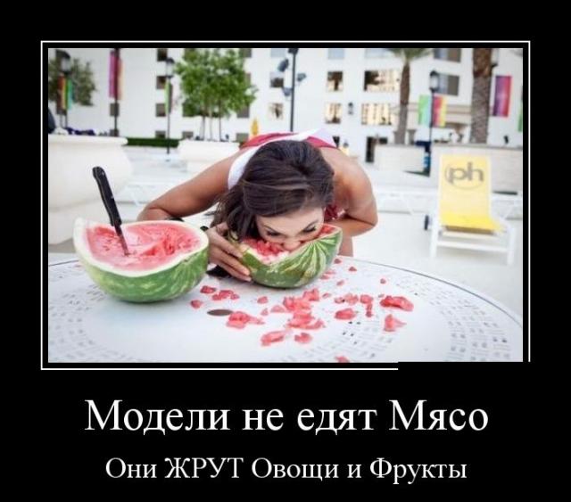 Демотиваторы (30 фото)