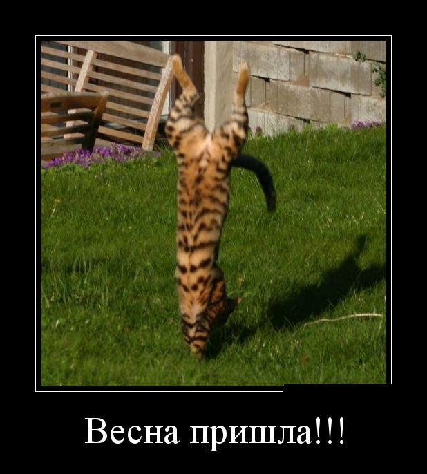 Демотиваторы (30 фото)