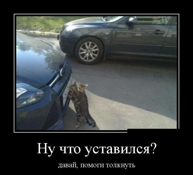 Демотиваторы (30 фото)