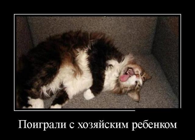 Демотиваторы (30 фото)