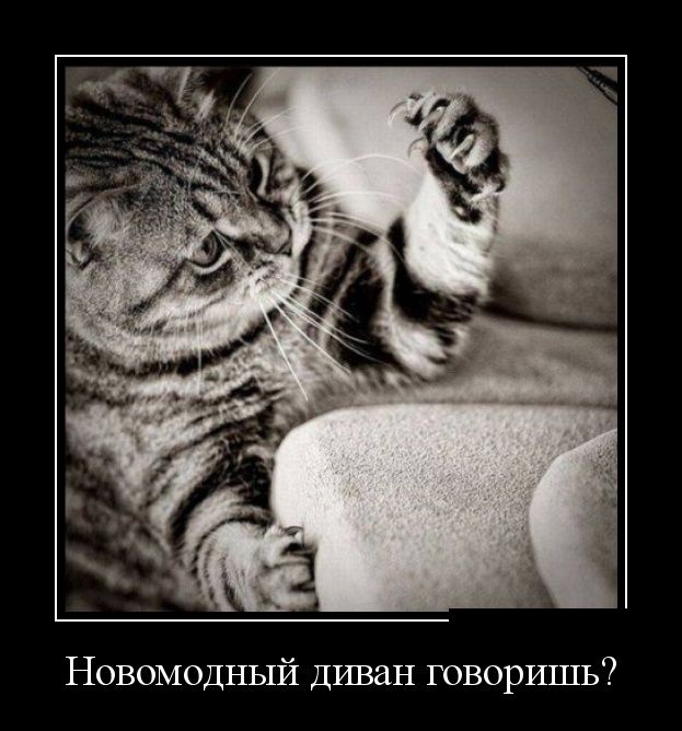 Демотиваторы (30 фото)