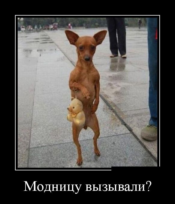 Демотиваторы (30 фото)