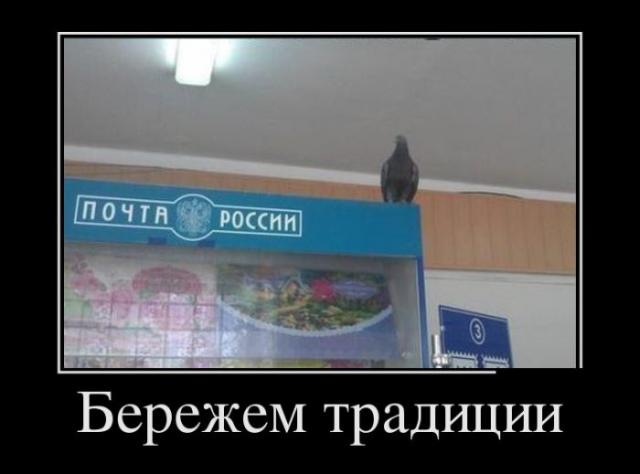 Демотиваторы (30 фото)