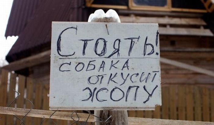 Забавные картинки