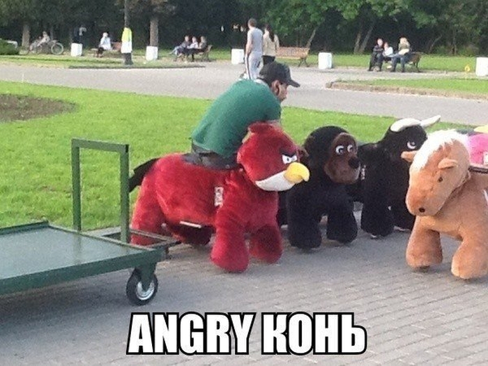Забавные картинки