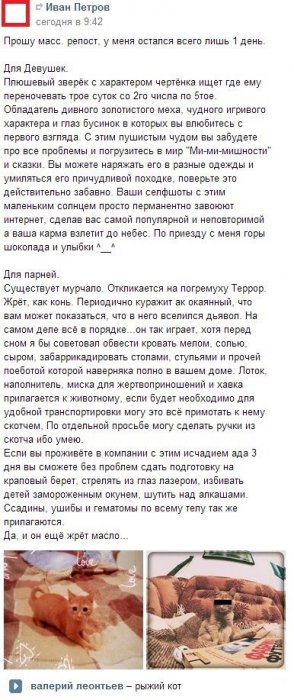 Забавные картинки