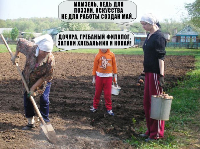 Скоро во всех садах и огородах