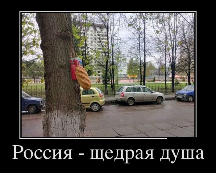 Демотиваторы (28 фото)