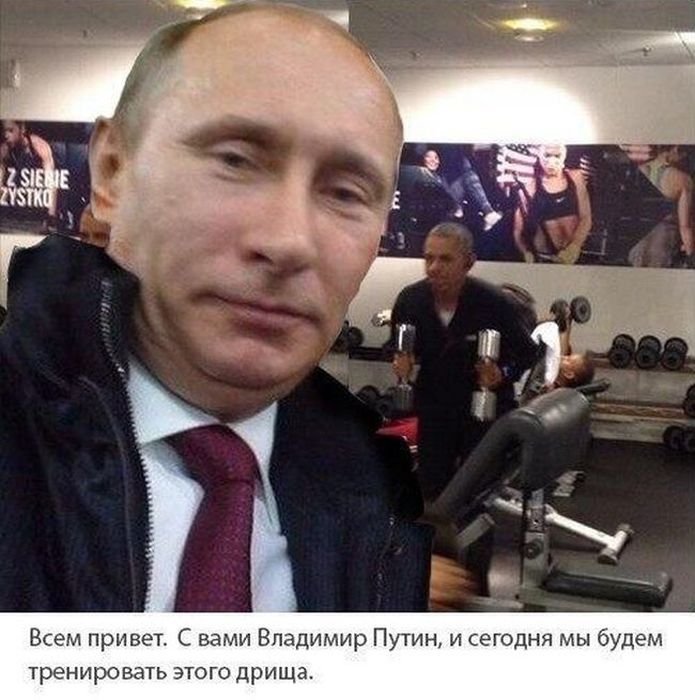 Прикольные картинки (50 фото)