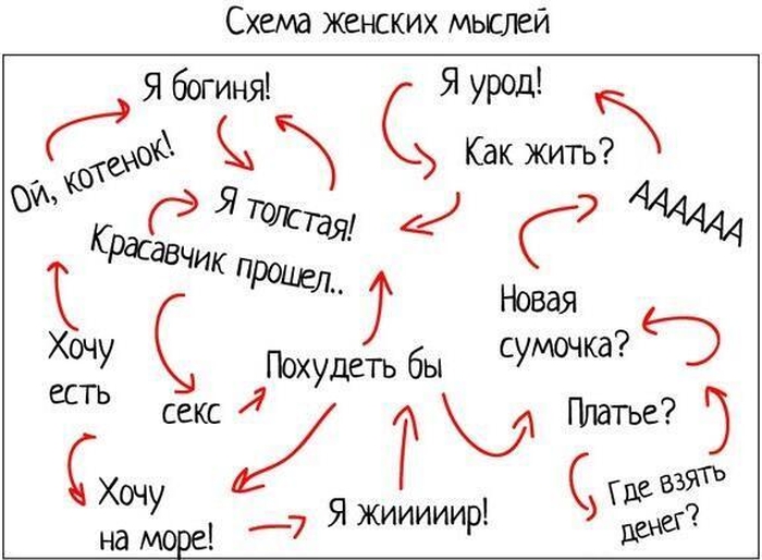 Забавные картинки