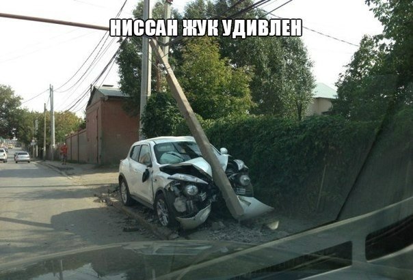 Прикольные картинки (60 фото)