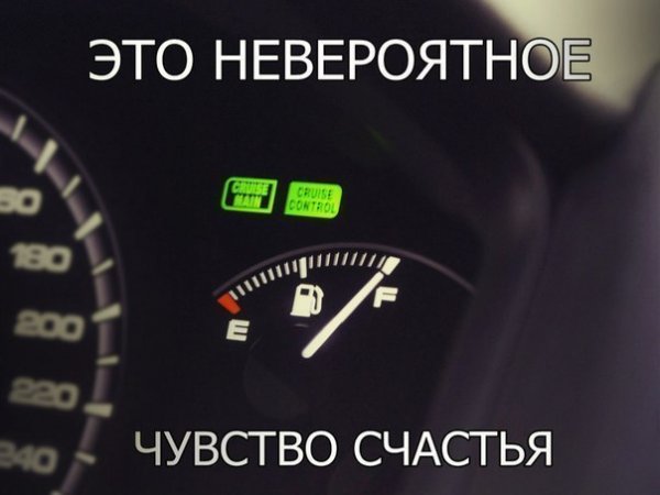 Прикольные картинки (60 фото)