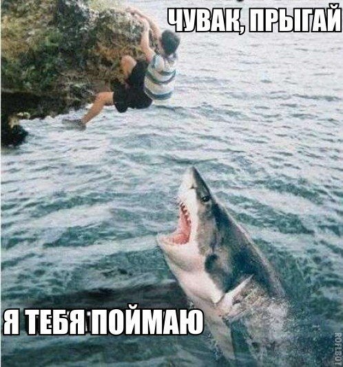Прикольные картинки (60 фото)