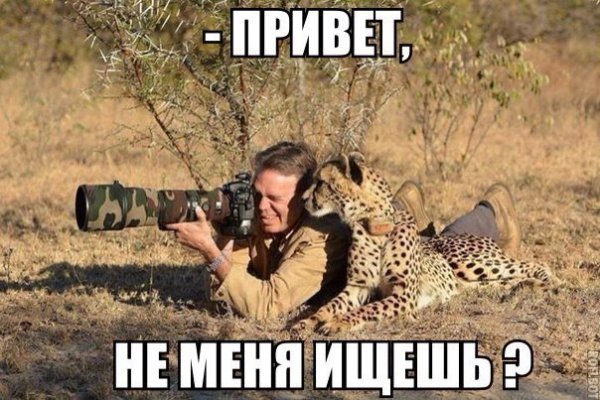 Прикольные картинки (60 фото)