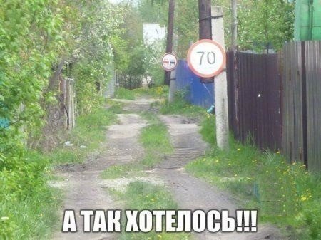 Прикольные картинки (60 фото)
