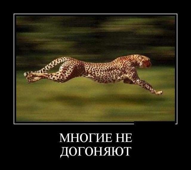 Демотиваторы (30 фото)