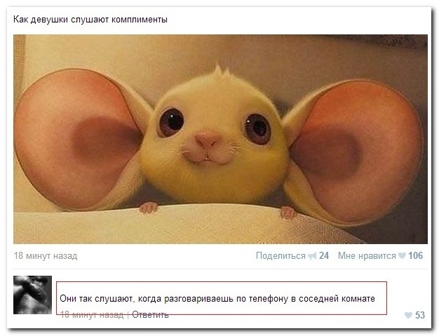 Смешные комментарии из социальных сетей (40 фото)