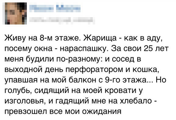 Забавные картинки