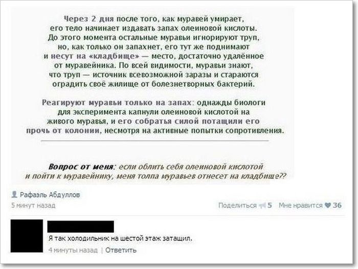 Прикольные картинки (85 фото)