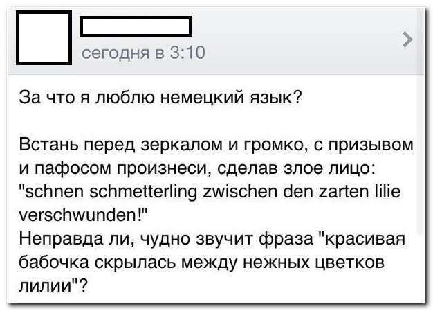 Смешные комментарии из социальных сетей (40 фото)