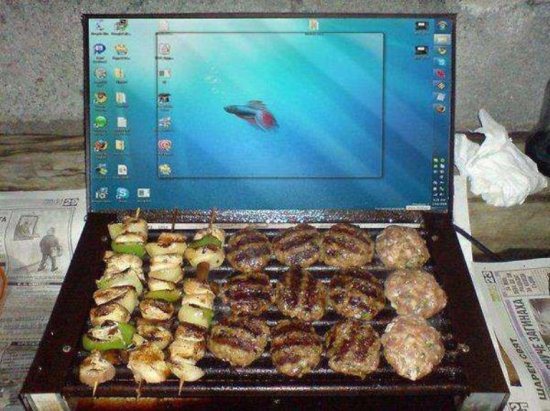 Все на шашлыки! (32 фото)