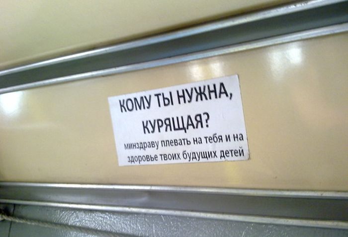 Прикольные картинки (85 фото)
