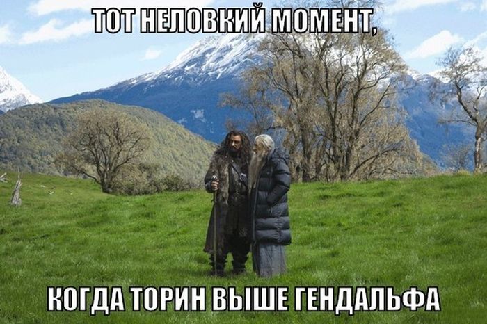 Забавные картинки