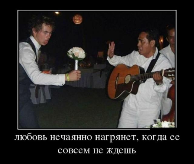 Демотиваторы (30 фото)