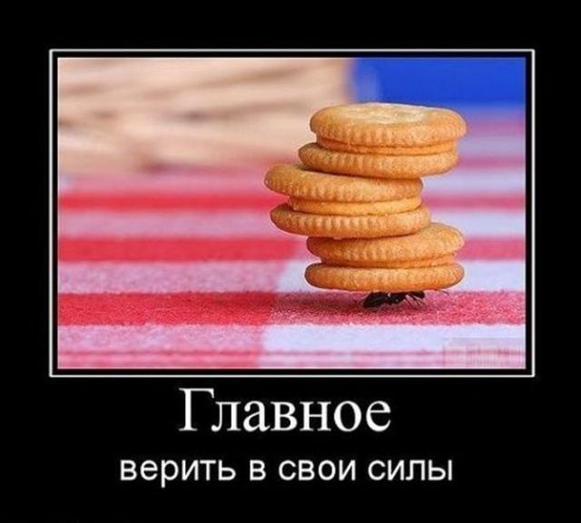 Демотиваторы (30 фото)